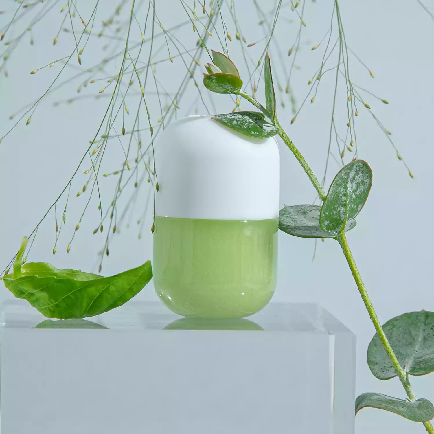 Set 6 Capsule Basil & Grass