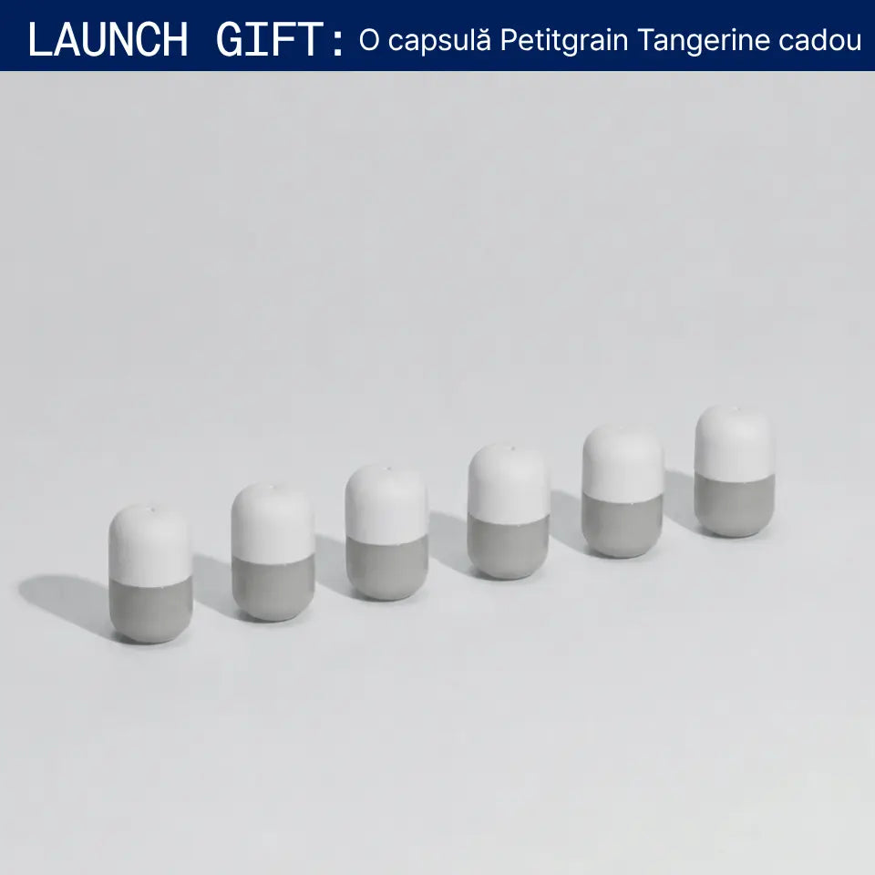 Set 6 Capsule Cedarwood Moss