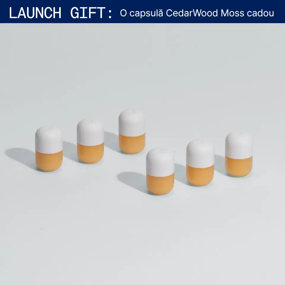 Set 6 Capsule Petitgrain Tangerine
