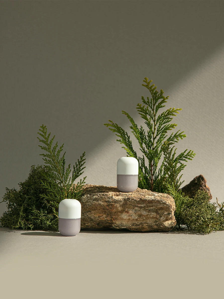 Capsule Cedarwood Moss într-un decor natural