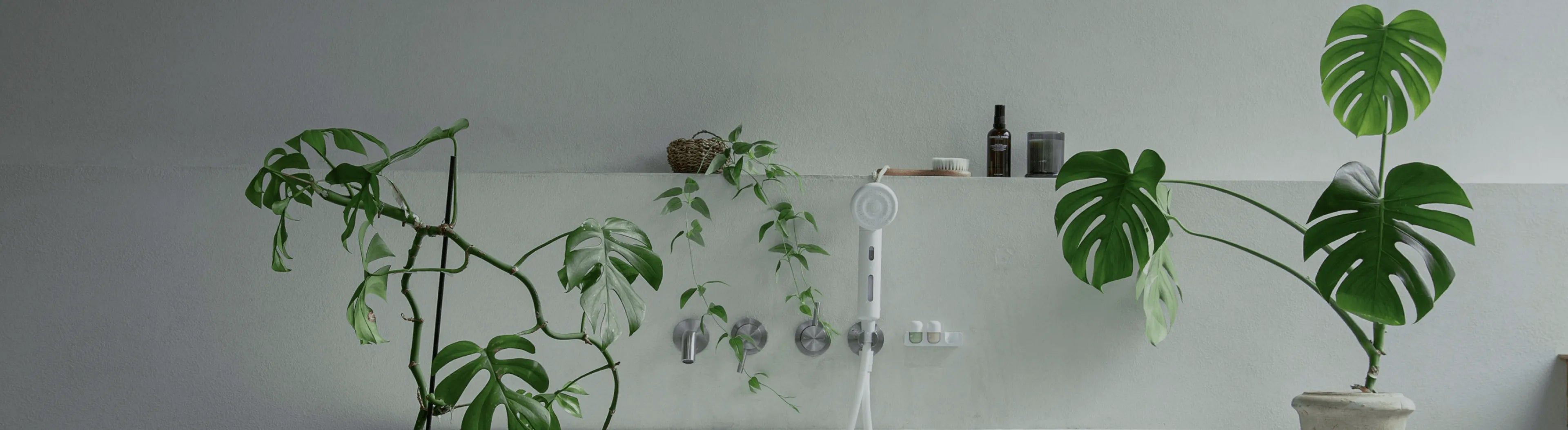 Recenzii – Shift Aroma